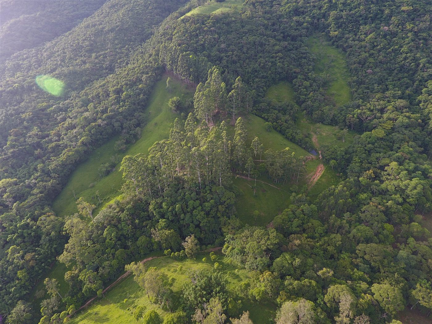 Floresta Preservada — Vista Aérea