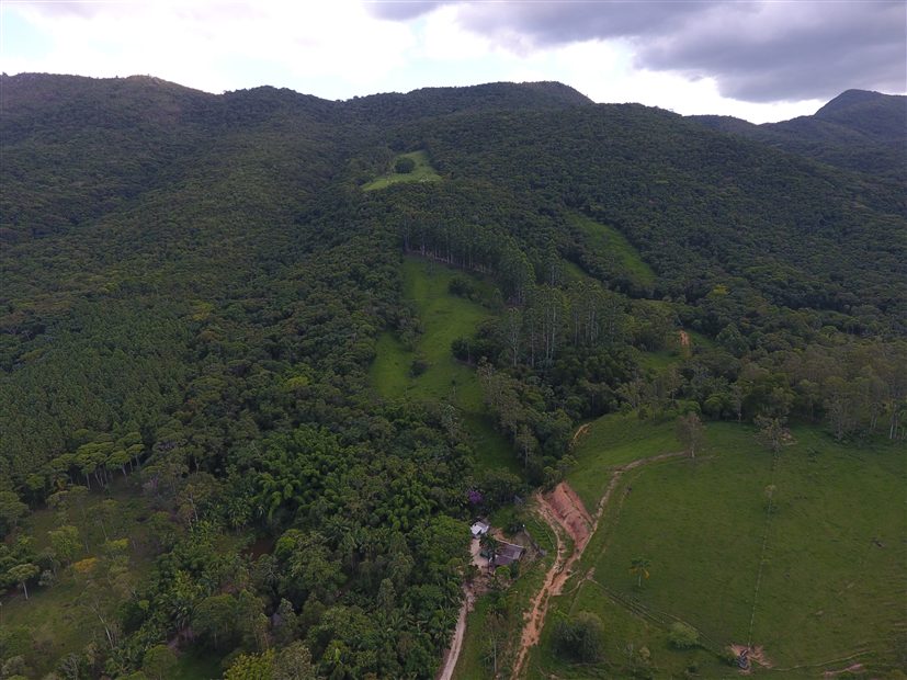 Área de Preservação — Floresta Nativa